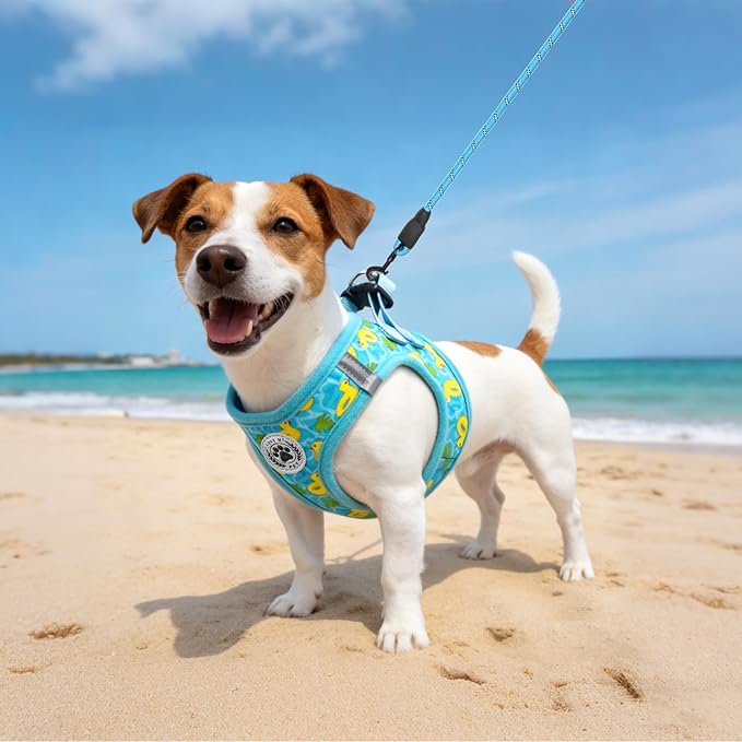 BEAUTYZOO Small Dog Harness and Leash Set,Step in No Choke No Pull Soft Mesh Dog Harnesses Reflective for Extra-Small/Small Medium Puppy Dogs and Cats,BlueDuck S