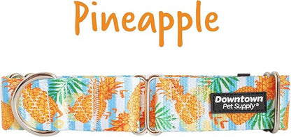 Downtown Pet Supply - Martingale Collar for Dogs - Dog Training Collar - Big, Wide & Thick Dog Collar - Escape-Proof, Weatherproof, Durable and Comfortable - Pineapple - Large Dog Collar