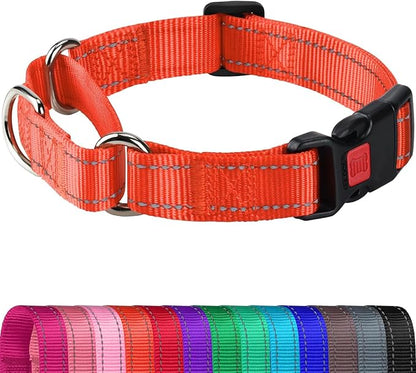 Joytale Martingale Collar for Dogs, Reflective Heavy Duty for Safety, Quick Release Buckle, Adjustable Nylon Collars for Large Dogs Walking Training, Orange,L