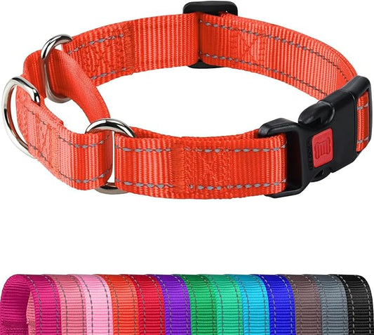 Joytale Martingale Collar for Dogs, Reflective Heavy Duty for Safety, Quick Release Buckle, Adjustable Nylon Collars for Small Dogs Walking Training, Orange,S
