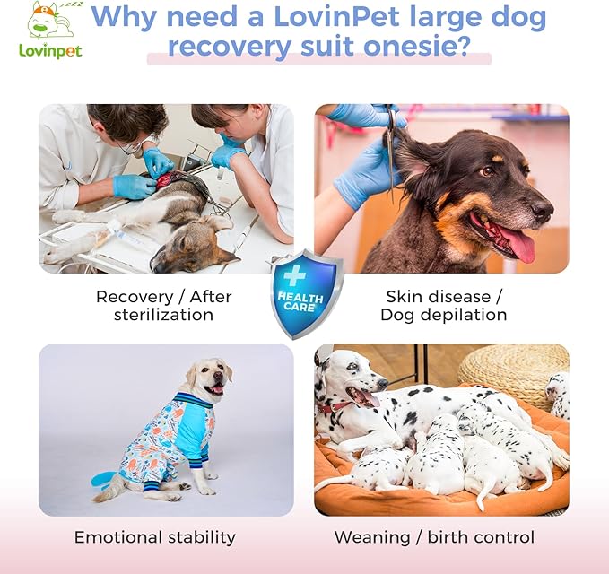 LovinPet Dog Recovery Suit - Medium Large - Dog Bodysuit for Abdominal Wound After Surgery Anti Licking Abdominal Wound Surgical Clothes Post-Operative Vest E-Collar Alternative,Whale,Blue,M