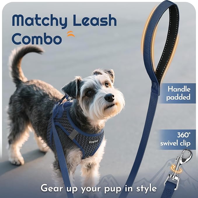 Eagloo Small Dog Harness and Leash Set, Step in Puppy Vest with Breathable Soft Mesh, Walking Reflective Pet Harness for Extra Small Dogs, Navy Blue, XXS