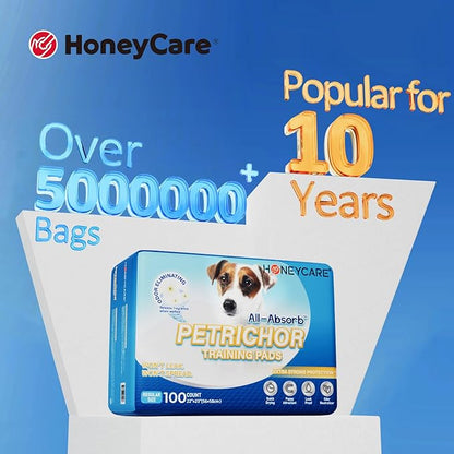 HONEY CARE All-Absorb A07 Bulk Packaging Training Pads, Blue, Large - 22" x 23" 200ct