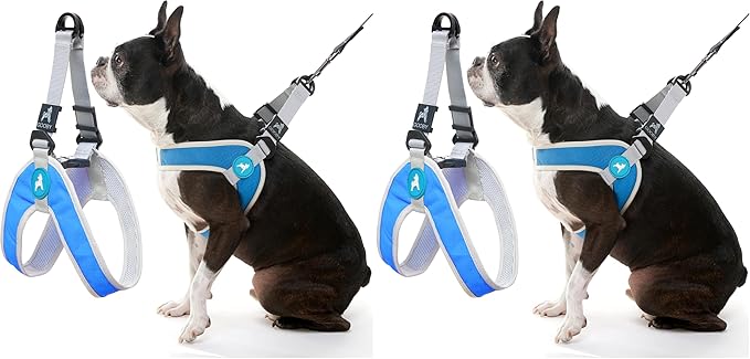 Gooby Simple Step in III Harness - Blue, Large - Small Dog Harness with Scratch Resistant Outer Vest - Soft Inner Mesh Harness for Small, Medium Dogs (Pack of 2)