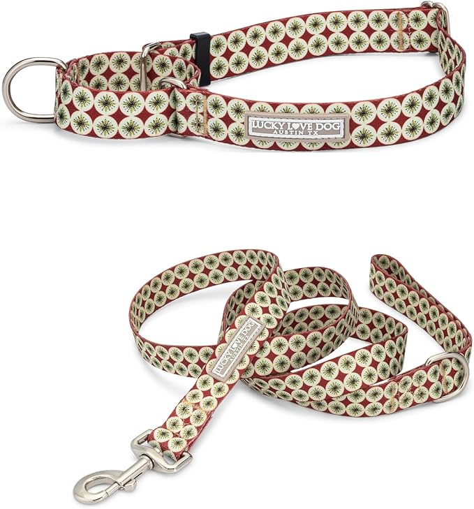 Lucky Love Dog Martingale Dog Collar & Leash - Adjustable, No-Slip, Durable, Comfortable, Soft Webbing, & Stylish Patterned Collar & Leash Set for Male and Female Dogs - Pongo Combo, Small