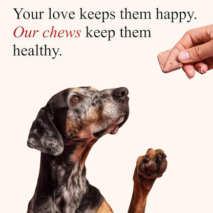 Cranberry Chews for Dogs – UTI Support & Bladder Support – Cranberry Supplement for Dogs – Dog Kidney Support – Urinary Tract & Bladder Control (30 Soft Chews)