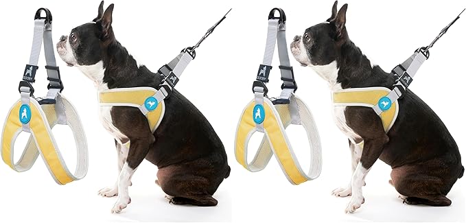 Gooby Simple Step in III Harness - Yellow, Large - Small Dog Harness with Scratch Resistant Outer Vest - Soft Inner Mesh Harness for Small, Medium Dogs (Pack of 2)