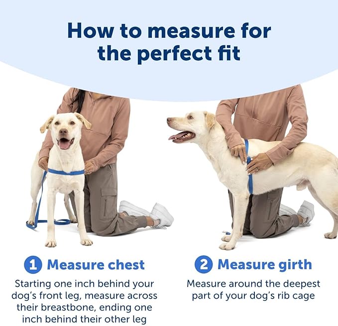 PetSafe Easy Walk No-Pull Dog Harness - The Ultimate Harness to Help Stop Pulling - Take Control & Teach Better Leash Manners - Helps Prevent Pets Pulling on Walks, Small/Medium, Red/Black