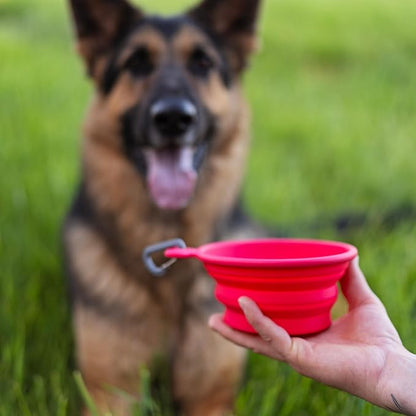 Messy Mutts Silicone Collapsible Bowl | Pet Travel Necessity | Portable Water or Food Dish | Pop Up Watering Bowl | Camping, Hiking, Walking Accessory | Small, 1.75 Cups | Blue
