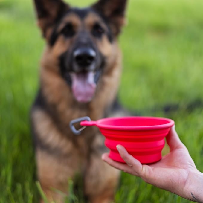Messy Mutts Silicone Collapsible Bowl | Pet Travel Necessity | Portable Water or Food Dish | Pop Up Watering Bowl | Camping, Hiking, Walking Accessory | Large, 3 Cups | Green