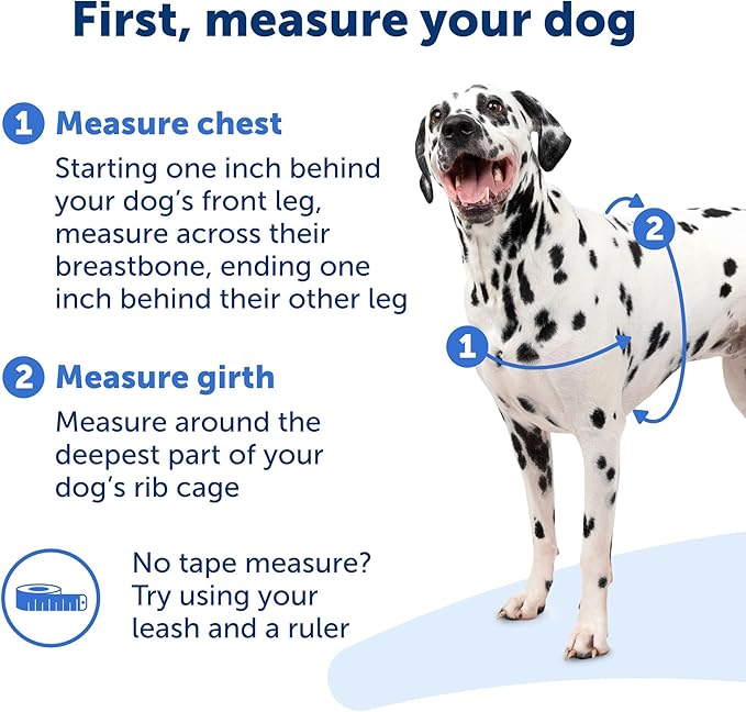 PetSafe Easy Walk Harness for Dogs - Pull-Free Walks - Patented Martingale Loop Design - Front Chest Leash Attachment - Adjustable Comfort Straps - Breathable Harness Design - Medium, Raspberry/Gray