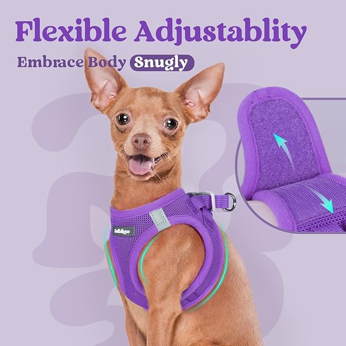 rabbitgoo Small Dog Harness, Step-in Soft Mesh Puppy Vest with Safety Buckle, Breathable Reflective Pet Harness for Small Sized Dogs, Purple XS