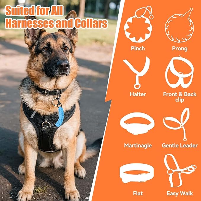 Dog Collar Safety Clip, Collar Companion, Handmade Backup Safety Strap, Double-Ended Clip Leash Connector, Suitable for Dog Harnesses, Prong, Pinch Collars (Sky Blue, 1 Pack)