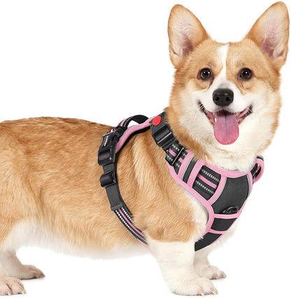 rabbitgoo Dog Harness Small Sized, No Pull Pet Harness with 3 Buckles, Adjustable Soft Padded Vest with Control Handle, Walking Reflective Pet Vest for Small Dogs, Black & Pink, S