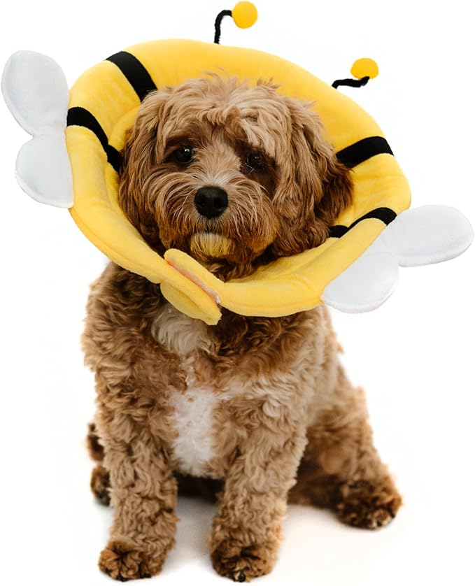 Soft Small Dog/Puppy/Cat Cone | Cute Bumblebee Cone for Small Dogs, Puppies & Cats After Surgery, Wound Care, Spay & Neuter | Dog Recovery Cones & Collars | 100% Polyester (Large)