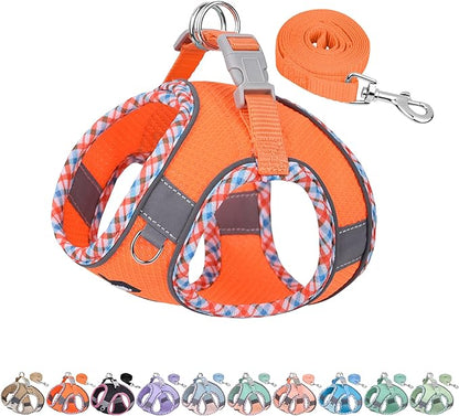 AIITLE XXS Dog Harness & Leash Set - Breathable Reflective No-Choke Small Dog Harness for Teacup Puppies, Indoor/Outdoor Use - Boston Terrier, Maltese, Chihuahua (Orange, XXS)
