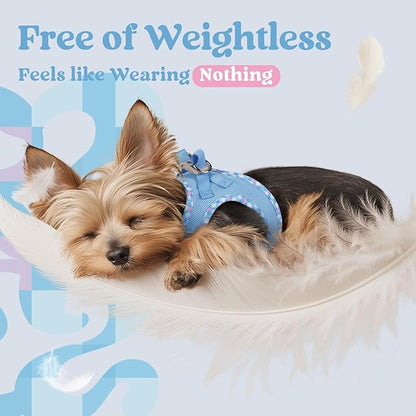 rabbitgoo Small Dog Harness, Step-in Soft Mesh Puppy Vest with Safety Buckle, Breathable Reflective Pet Harness for Small Sized Dogs, Blue & Plaid Trim S