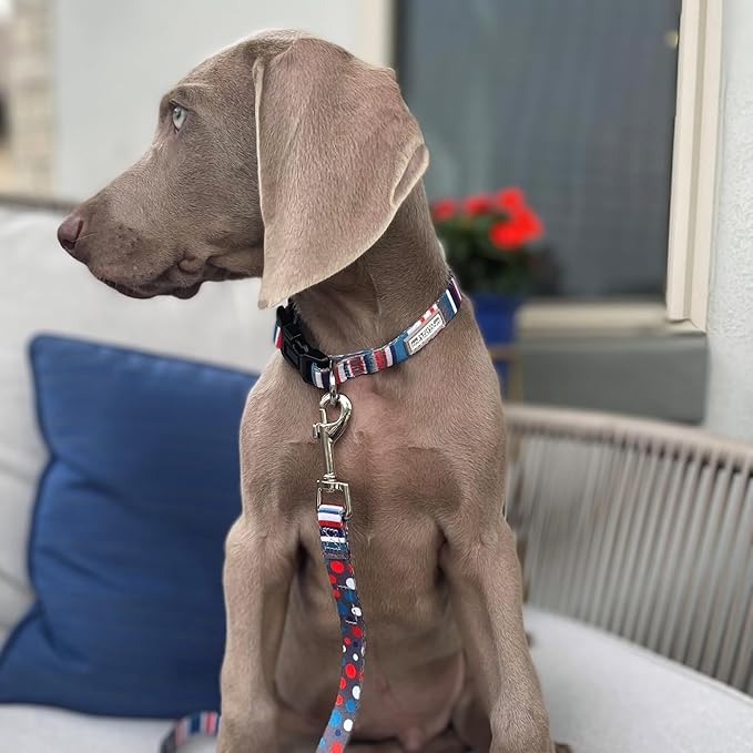 Lucky Love Dog - Adjustable Dog Collar with Easy Click Buckle for Small Dogs, Durable, & Comfortable for Male & Female Dogs, Pet Collar for Puppies & Adult Ones - Linus, Small