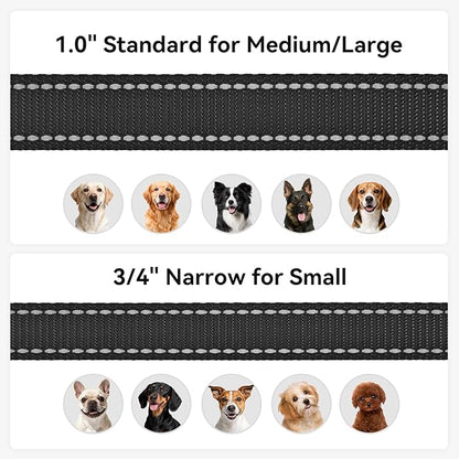 Joytale Dog Leash, 6 FT Double-Sided Reflective, Padded Handle Nylon Heavy Duty Leashes for Medium & Large Dogs Walking, Black