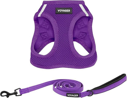 Best Pet Supplies Voyager Step-in Air All Weather Mesh Harness and Reflective Dog 5ft Leash Combo with Neoprene Handle, for Small, Medium and Large Breed Puppies - Set (Purple), X-Large