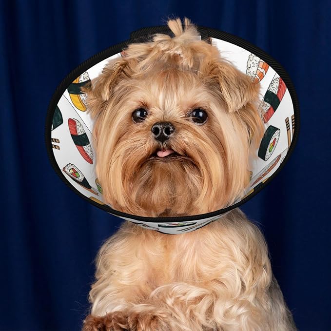 Comfy Pet Cone Collar, Adjustable for Dogs After Surgery, Anti-Bite Design, Perfect for Large Medium Small Dogs, Sushi