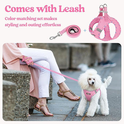 rabbitgoo Dog Harness Small Medium Sized and Leash Set, Step in Soft Light Puppy Vest, Breathable Mesh Pet Harness, Reflective for Safe Easy Walking, Pink & Plaid Trim L