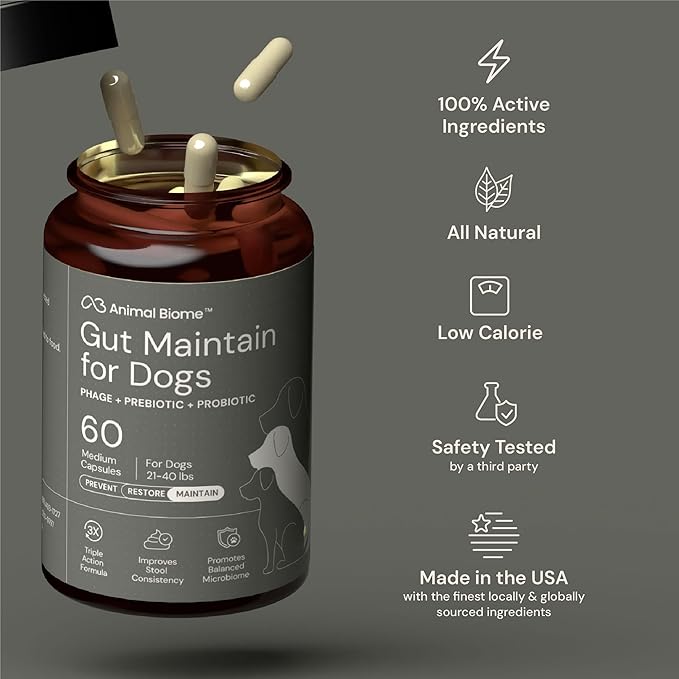 Animal Biome Probiotics for Dogs with S Boulardii, Gut Maintain (60 Capsules) – Triple-Action Medium Dog Probiotics, Prebiotics & Phage Supplements for Gut Health, Firmer Stool & Diarrhea Support