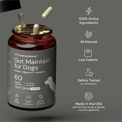 Animal Biome Probiotics for Dogs with S Boulardii, Gut Maintain (60 Capsules) – Triple-Action Large Dog Probiotics, Prebiotics & Phage Supplements for Gut Health, Firmer Stool & Diarrhea Support