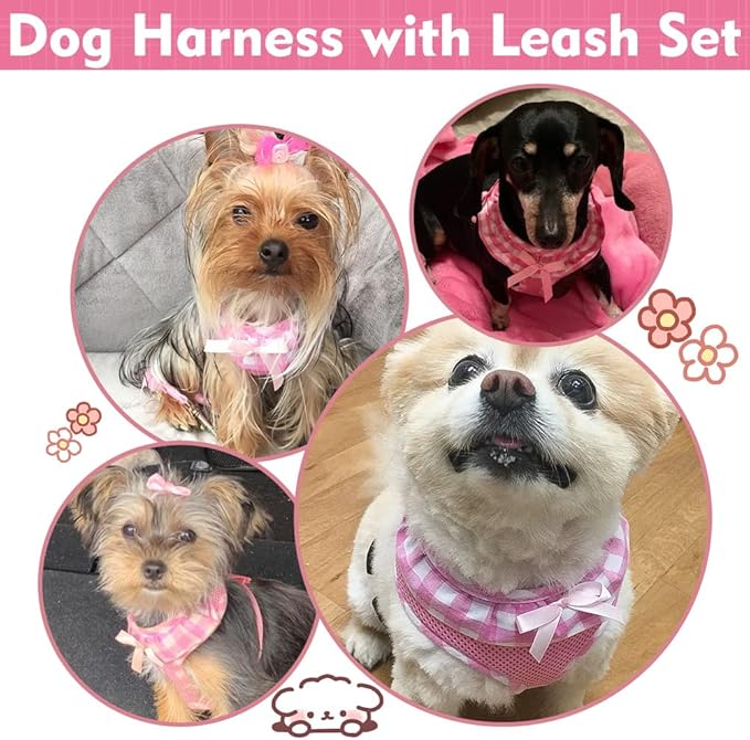 EXPAWLORER Cute Dog Harness and Leash Set - Pink Girl Dog Harness Checkered Step-in Design, Easy Adjustable No-Choke Lightweight Breathable Vest for Puppy Small Dogs Cats Outdoor Walking, Small