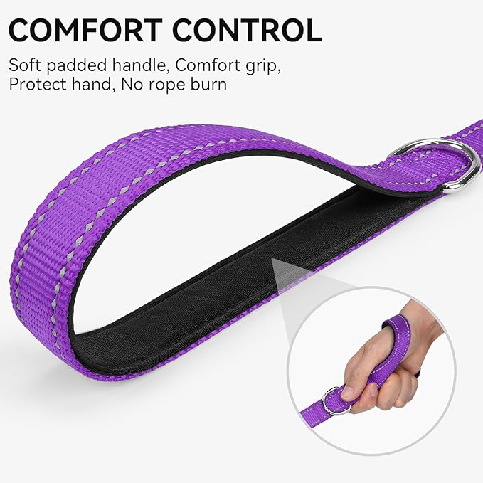Joytale Dog Leash, 4 FT Double-Sided Reflective, Padded Handle Nylon Heavy Duty Leashes for Small Dogs Walking, Purple