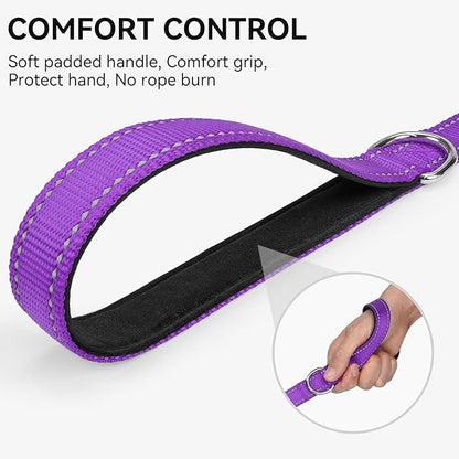 Joytale Dog Leash, 4 FT Double-Sided Reflective, Padded Handle Nylon Heavy Duty Leashes for Medium & Large Dogs Walking, Purple