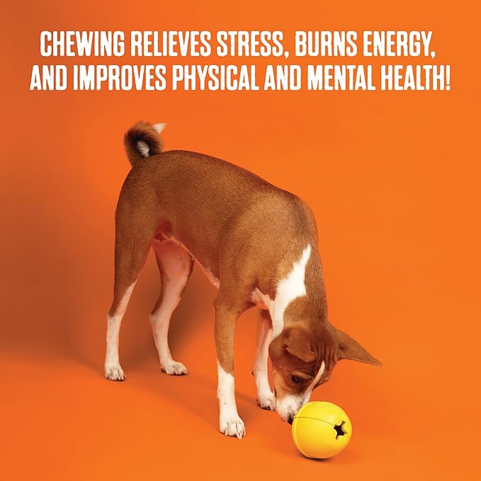 BULLYMAKE Orange Toss N' Treat Pie Toy for Dogs, Durable Rubber Dog Toys for Aggressive Chewers, Dental Stimulating, Treat Dispensing, Boredom Busting, Pet Supplies, Made in USA
