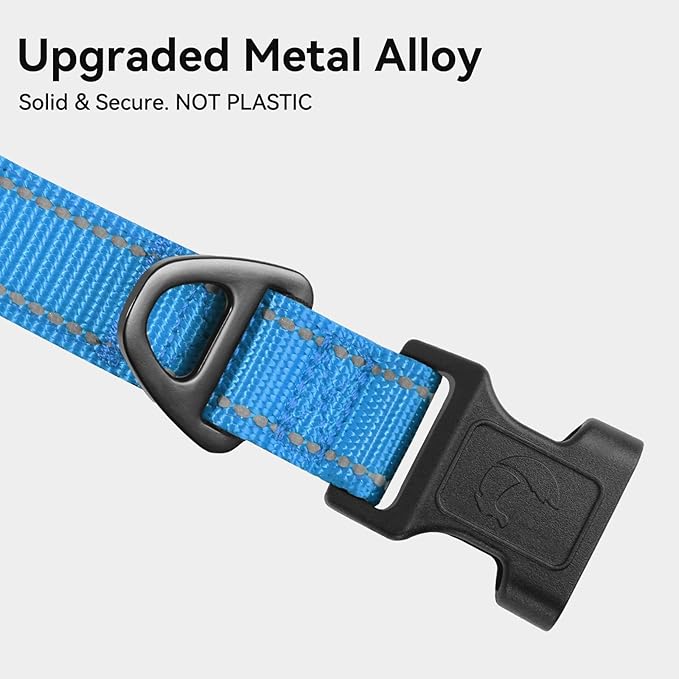 Joytale Reflective Dog Collar, Soft Neoprene Padded, Metal D-Ring, Nylon Pet Collar Adjustable for Large Dogs, Sky Blue, L