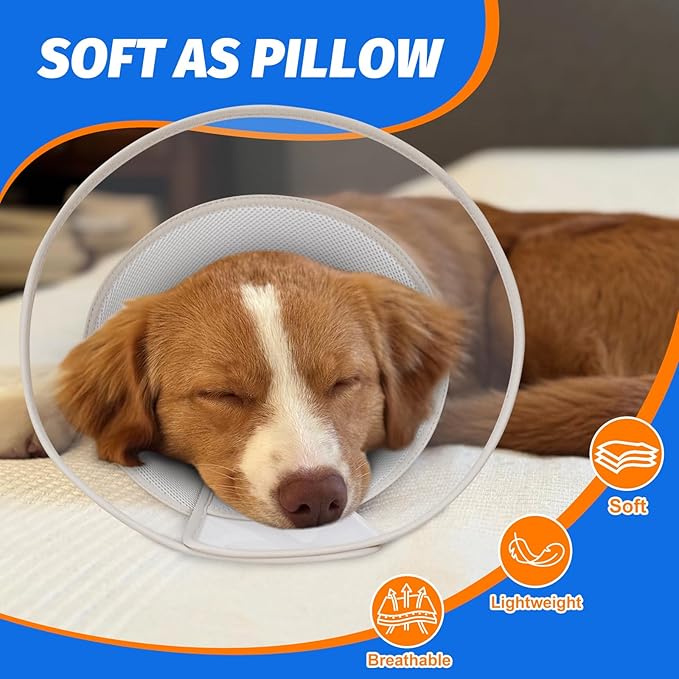 Dog Cone Collar with Soft Liner to Stop Licking, Elizabeth Recovery Collar After Surgery for Large Medium Dogs, Comfortable Pet Head Cone Alternative for Neutering Spay Injury (M)
