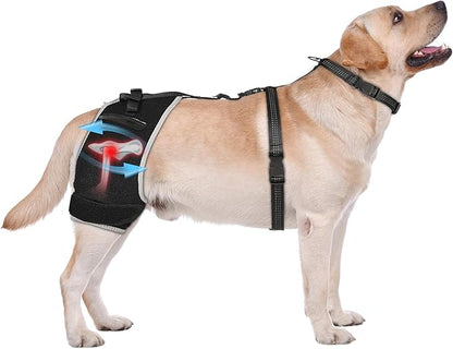Dog Hip Brace with Removable Hot/Cold Pack for Hip Dysplasia & Mild Rear-Leg Instability, Breathable and Comfortable Support for ACL/Arthritis Recovery, Size M