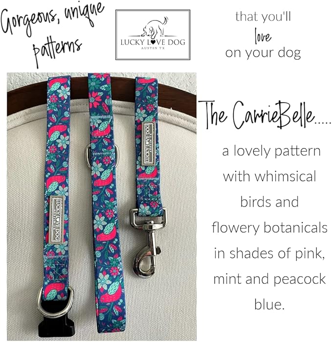 Lucky Love Dog - Adjustable Dog Collar with Easy Click Buckle for Small Dogs, Durable, & Comfortable for Male & Female Dogs, Pet Collar for Puppies & Adult Ones - Carriebelle, Small