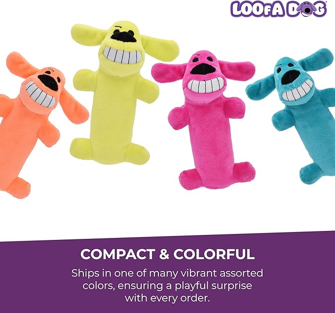 Multipet Original Loofa Dog Plush Toy - Squeaky Toy for All Dogs - Extra Soft Plush - Stuffed Animal Dog Toys for Playing (1 Count, 6”, Random Color Surprise)
