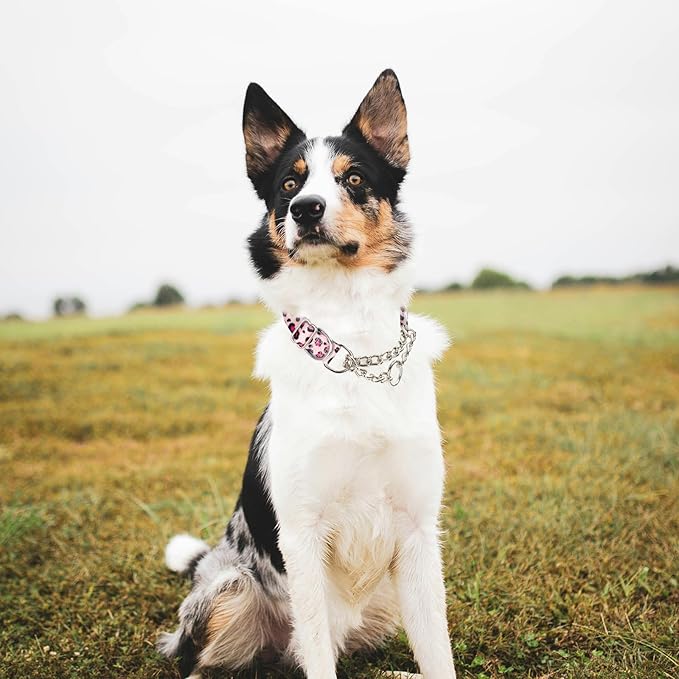 Pink Leopard Martingale Dog Collar, No-Pull Training Collar with Chain, Soft & Durable Design for Medium, Large & XL Dogs (Pink Leopard Medium )