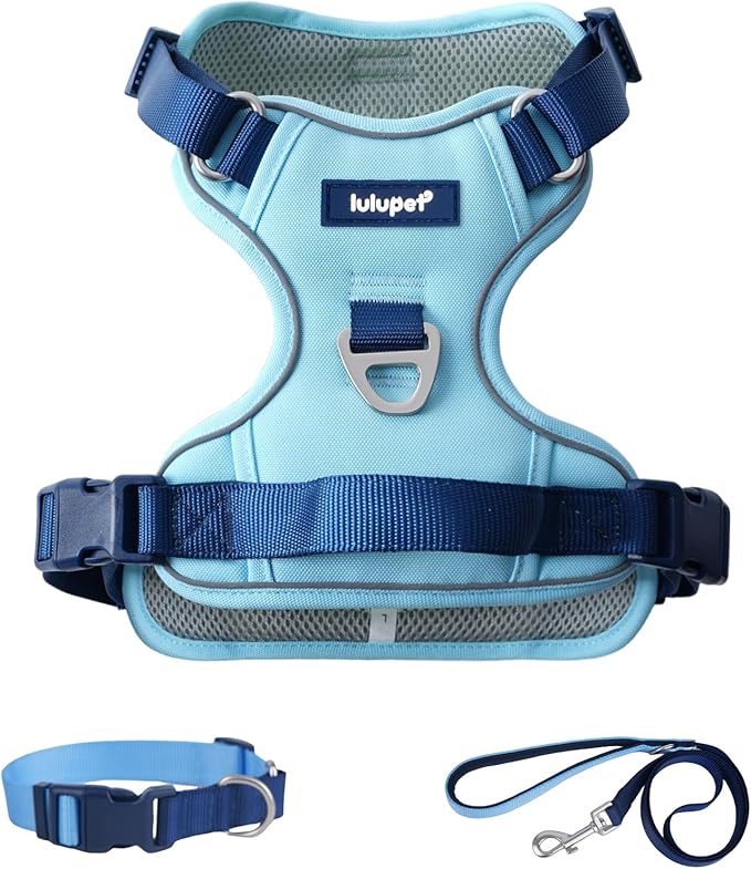 3 in 1 No Pull Dog Harness Leash and Collar Set, Soft Adjustable Dogs Vest Reflective and Comfortable Handle Blue X-Large