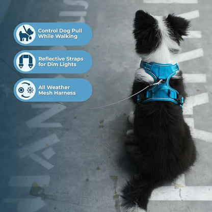 Voyager Dog Harness Dual Leash Attachment No-Pull Control Adjustable Soft but Strong Pet Harness for Medium and Large Dogs with 3M Reflective Technology, Turquoise Nylon, M (Chest: 20-25")