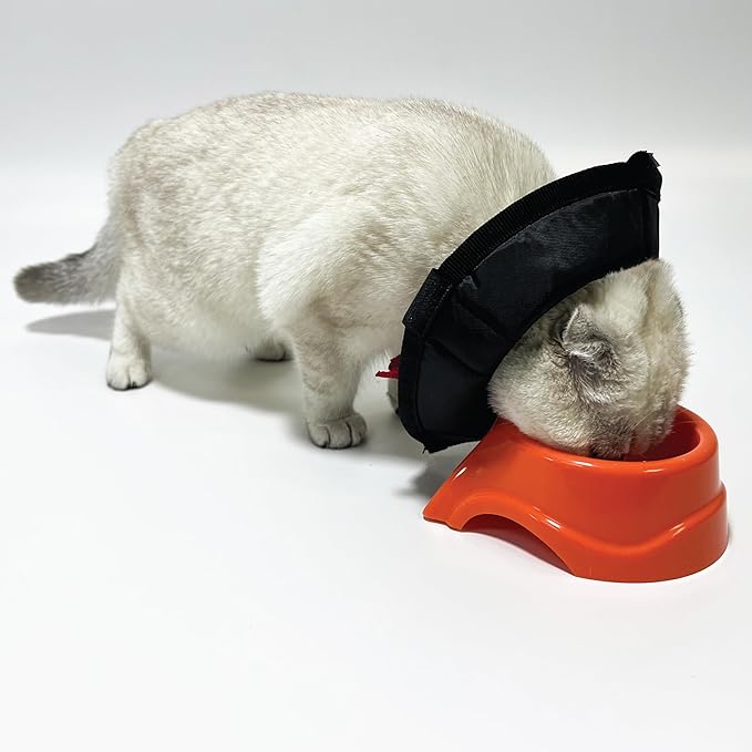 Dog Cone Collar Adjustable After Surgery, Protective Soft Dog Cone, Elizabethan Dogs Collar (Black, L [Neck Girth: 14.9"-19.3"])