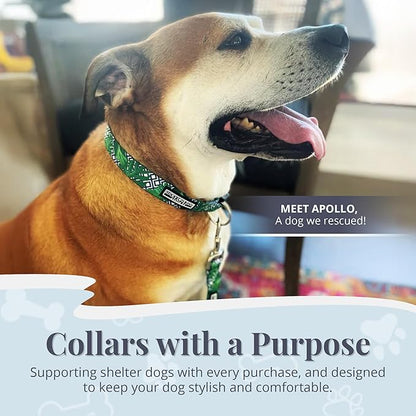 Lucky Love Dog Collar, Beautiful & Vivid Pattern Large Boy Dog Collars, Easy On & Off Clasp Accessory (Blue Laguna, L)