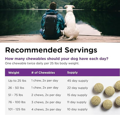 Nutri-Vet Bladder Control Supplement, Cranberry Supplement, Dog Products, Immune Support,Helps Dog Urinary Incontinence,Bladder Control Pills,Urinary Tract Health,Puppy Support,90 Tablets,(Pack of 2)