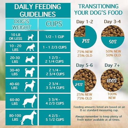 Chicken Soup for the Soul All Natural Premium Adult Dry Dog Food, Real Meat First Ingredient, No By-Products, Supports Gut & Immune Health, Chicken, Turkey & Brown Rice, 13.5lb