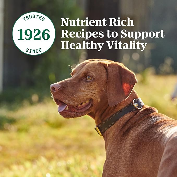 Nutro Hearty Stew Canned Wet Dog Food, Natural Grain Free Dog Food Wet Cuts in Gravy Chunky Beef, Tomato, Carrot & Pea, 12.5 oz Cans (12 Count, Pack of 1)