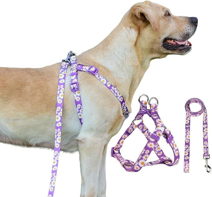 Harness and Leash Set, Floral Pattern, 5ft Matching Leash, No Pull, Easy Wear for Small Puppy Dogs.(XS, Purple Daisy)