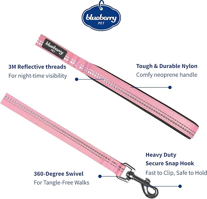 Blueberry Pet 3M Reflective Pastel Color Dog Leash with Soft & Comfortable Handle, 4 ft x 1", Baby Pink, Large, Leashes for Dogs
