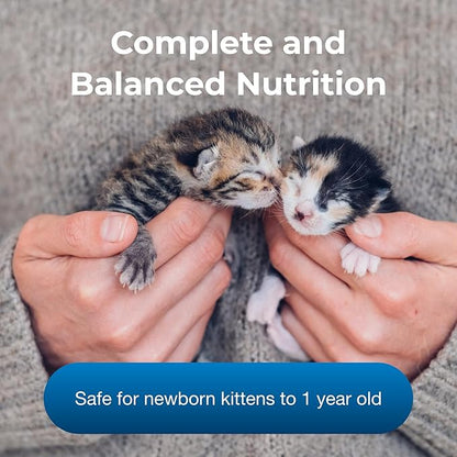 PetAg KMR Kitten Milk Replacer Powder - 12 oz - Powdered Kitten Formula with Prebiotics, Probiotics & Vitamins for Kittens Newborn to Six Weeks Old- Easy to Digest