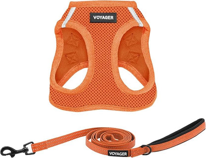Best Pet Supplies Voyager Step-in Air All Weather Mesh Harness and Reflective Dog 5 ft Leash Combo with Neoprene Handle, for Small, Medium and Large Breed Puppies - Set (Orange), XL