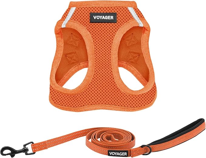 Best Pet Supplies Voyager Step-in Air All Weather Mesh Harness and Reflective Dog 5ft Leash Combo with Neoprene Handle, for Small, Medium and Large Breed Puppies - Set (Orange), X-Small